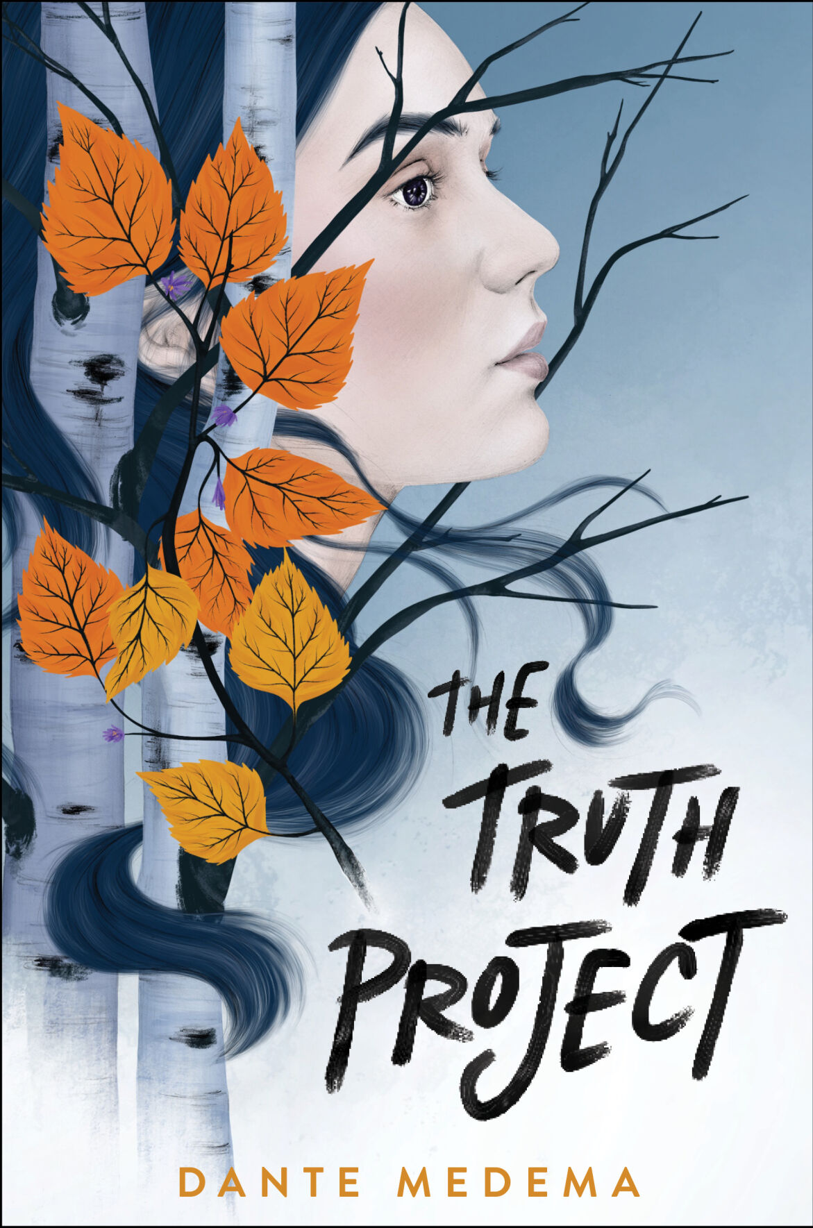 Truth project